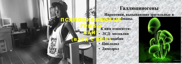 шишки Богородицк