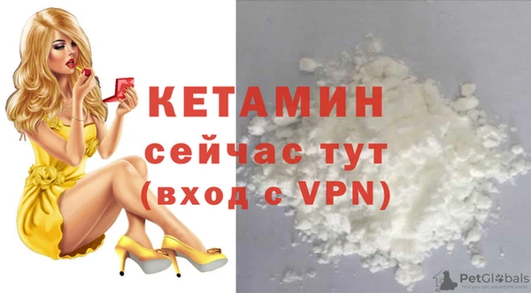 шишки Богородицк