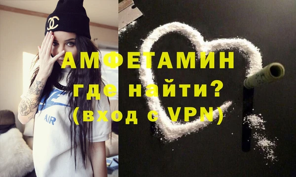шишки Богородицк