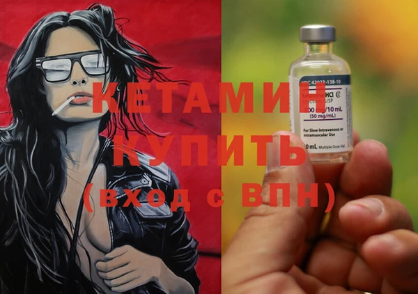 шишки Богородицк