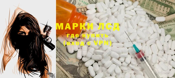 шишки Богородицк